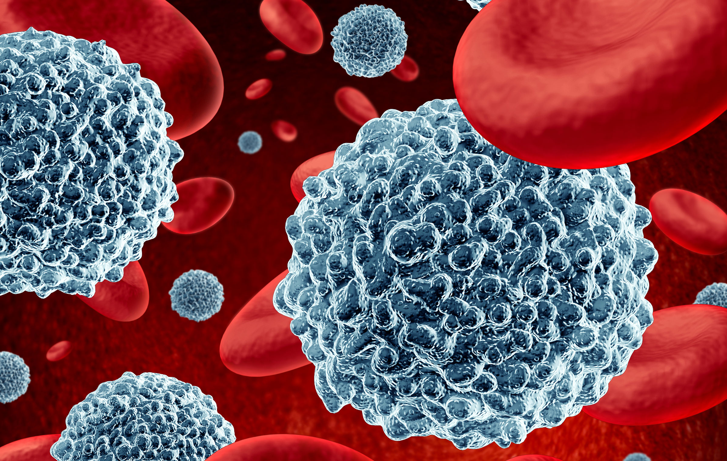 cancer and white blood cells I am not a dr but am a cancer survivor all cancers can cause white blood count to go up when white count is elevated it means it's fighting an. cancer and white blood cells I am not a dr but am a cancer survivor all cancers can cause white blood count to go up when white count is elevated it means it's fighting an.