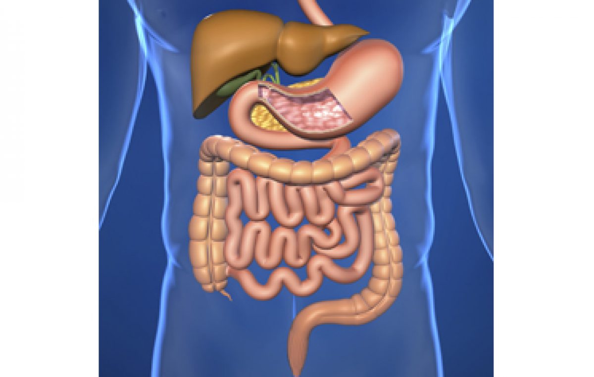 Irrigation of the intestine: what it is, how it is done, preparation. Intestinal examination Irrigation of the intestine: what it is, how it is done, preparation. Intestinal examination