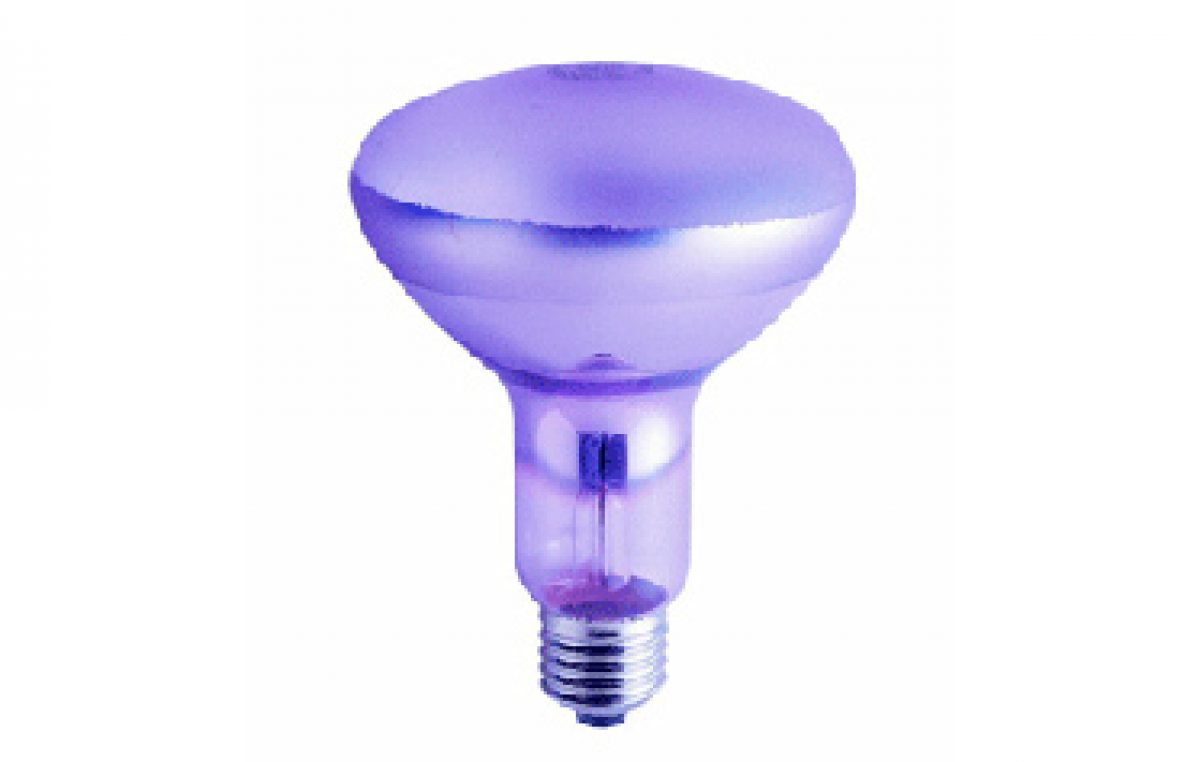 Earthwatch Compact Fluorescents Vs Full Spectrum Bulbs Vitality Earthwatch Compact Fluorescents Vs Full Spectrum Bulbs