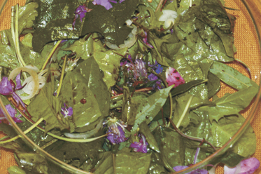Greek Dandelion Salad