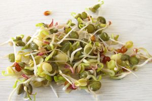 Spring, Fresh Greens and Sprouts: 'tis the Season to Go Raw!
