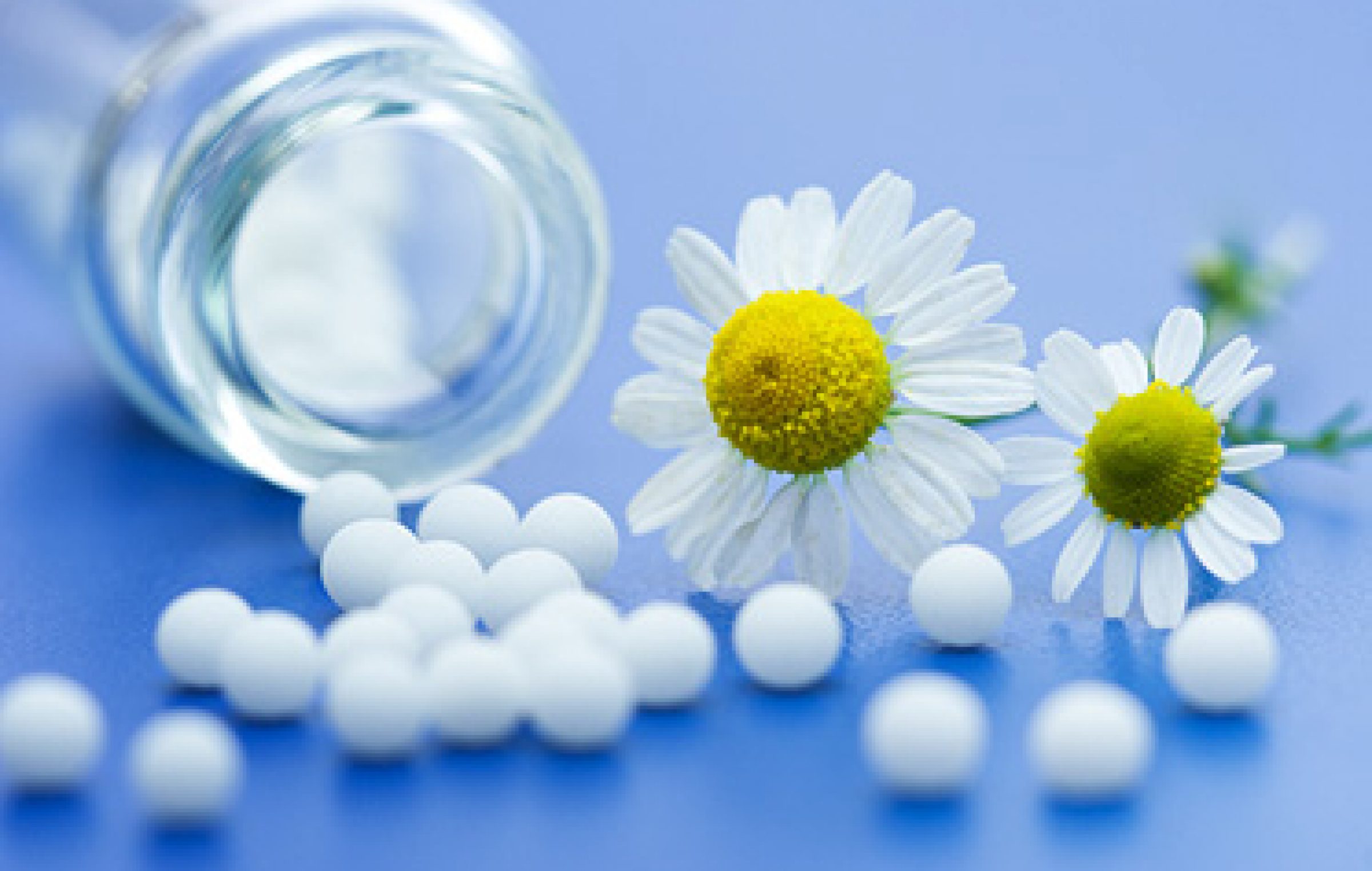 Homeopathic Medicine: Holistic Treatment For Candida - Vitality Magazine