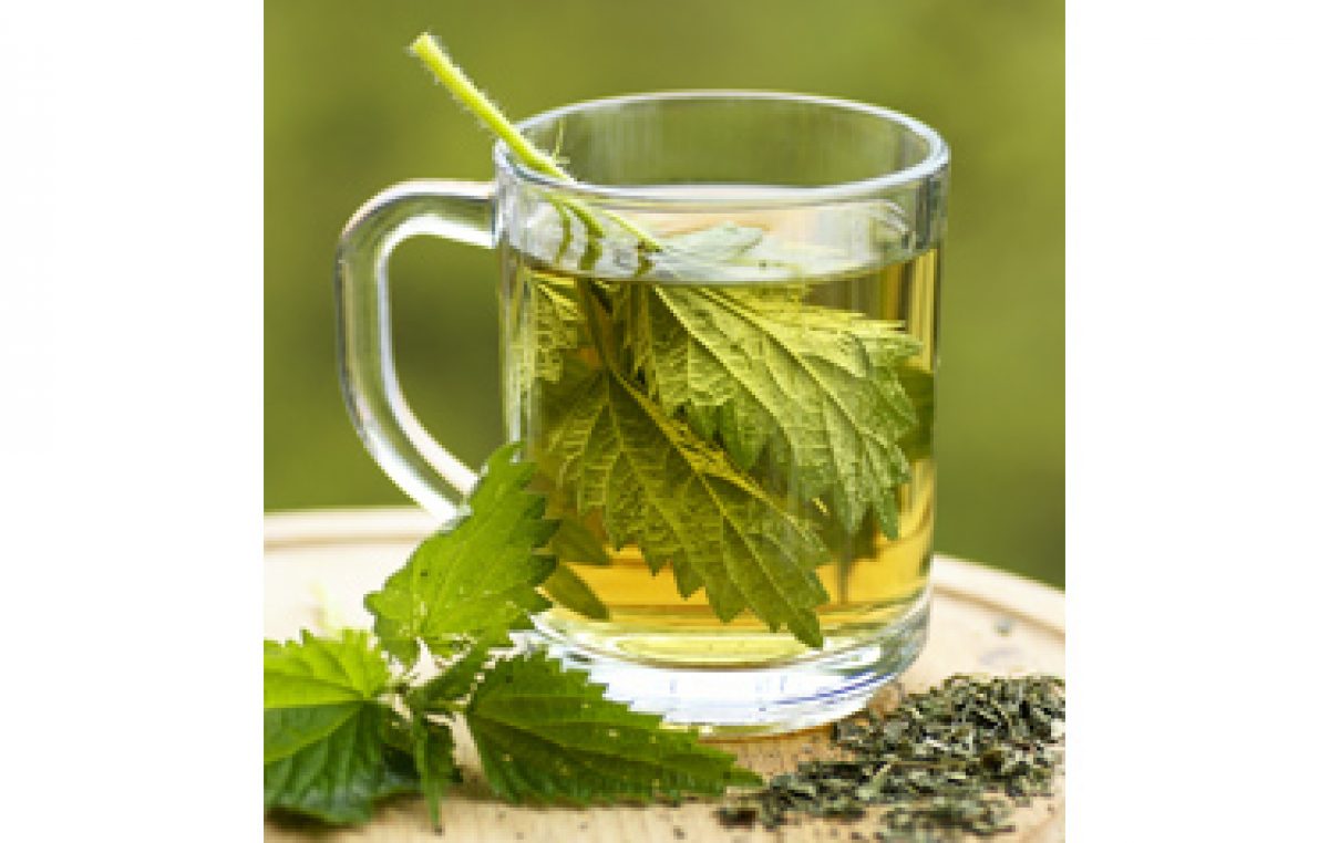 Herbs for Detox - Vitality Magazine