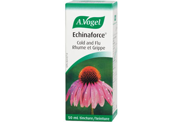 Echinacea: A Natural Remedy Gains Scientific Sanction