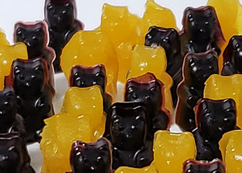 healthy gummy bears for healing the gut