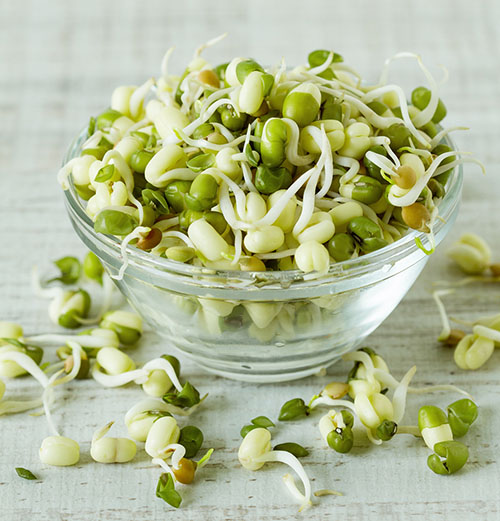raw bean sprouts